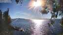 ./images/koeye/fitz-hugh/20260419/fitz-hugh20260419_174502M.jpg
