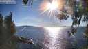 ./images/koeye/fitz-hugh/20260419/fitz-hugh20260419_175001M.jpg