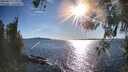 ./images/koeye/fitz-hugh/20260419/fitz-hugh20260419_180001M.jpg