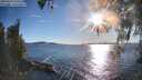 ./images/koeye/fitz-hugh/20260419/fitz-hugh20260419_183501M.jpg