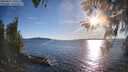 ./images/koeye/fitz-hugh/20260419/fitz-hugh20260419_185502M.jpg
