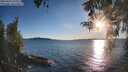 ./images/koeye/fitz-hugh/20260419/fitz-hugh20260419_191502M.jpg