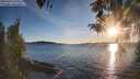 ./images/koeye/fitz-hugh/20260419/fitz-hugh20260419_193501M.jpg