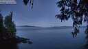 ./images/koeye/fitz-hugh/20260420/fitz-hugh20260420_055501M.jpg