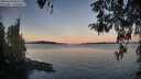 ./images/koeye/fitz-hugh/20260420/fitz-hugh20260420_063501M.jpg