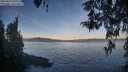 ./images/koeye/fitz-hugh/20260420/fitz-hugh20260420_070501M.jpg