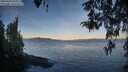 ./images/koeye/fitz-hugh/20260420/fitz-hugh20260420_071001M.jpg