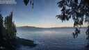 ./images/koeye/fitz-hugh/20260420/fitz-hugh20260420_071501M.jpg