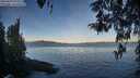 ./images/koeye/fitz-hugh/20260420/fitz-hugh20260420_072002M.jpg