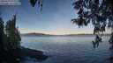./images/koeye/fitz-hugh/20260420/fitz-hugh20260420_072501M.jpg