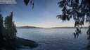 ./images/koeye/fitz-hugh/20260420/fitz-hugh20260420_073002M.jpg