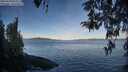 ./images/koeye/fitz-hugh/20260420/fitz-hugh20260420_074502M.jpg