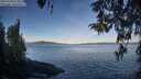 ./images/koeye/fitz-hugh/20260420/fitz-hugh20260420_075002M.jpg