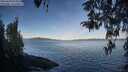 ./images/koeye/fitz-hugh/20260420/fitz-hugh20260420_075501M.jpg
