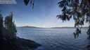 ./images/koeye/fitz-hugh/20260420/fitz-hugh20260420_080501M.jpg
