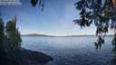 ./images/koeye/fitz-hugh/20260420/fitz-hugh20260420_081502M.jpg