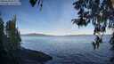./images/koeye/fitz-hugh/20260420/fitz-hugh20260420_082001M.jpg