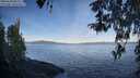 ./images/koeye/fitz-hugh/20260420/fitz-hugh20260420_082501M.jpg