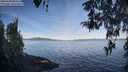 ./images/koeye/fitz-hugh/20260420/fitz-hugh20260420_084501M.jpg