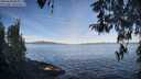 ./images/koeye/fitz-hugh/20260420/fitz-hugh20260420_085001M.jpg