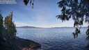 ./images/koeye/fitz-hugh/20260420/fitz-hugh20260420_094001M.jpg