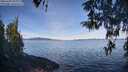 ./images/koeye/fitz-hugh/20260420/fitz-hugh20260420_095001M.jpg
