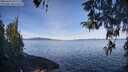 ./images/koeye/fitz-hugh/20260420/fitz-hugh20260420_095502M.jpg