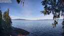 ./images/koeye/fitz-hugh/20260420/fitz-hugh20260420_100001M.jpg
