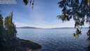 ./images/koeye/fitz-hugh/20260420/fitz-hugh20260420_100501M.jpg