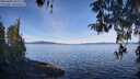 ./images/koeye/fitz-hugh/20260420/fitz-hugh20260420_101502M.jpg