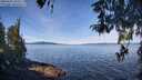 ./images/koeye/fitz-hugh/20260420/fitz-hugh20260420_104501M.jpg
