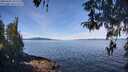 ./images/koeye/fitz-hugh/20260420/fitz-hugh20260420_105501M.jpg