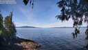 ./images/koeye/fitz-hugh/20260420/fitz-hugh20260420_110002M.jpg