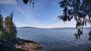 ./images/koeye/fitz-hugh/20260420/fitz-hugh20260420_111002M.jpg