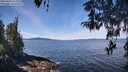 ./images/koeye/fitz-hugh/20260420/fitz-hugh20260420_112502M.jpg