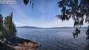 ./images/koeye/fitz-hugh/20260420/fitz-hugh20260420_114001M.jpg