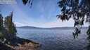 ./images/koeye/fitz-hugh/20260420/fitz-hugh20260420_114501M.jpg