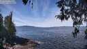 ./images/koeye/fitz-hugh/20260420/fitz-hugh20260420_120502M.jpg