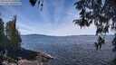 ./images/koeye/fitz-hugh/20260420/fitz-hugh20260420_121001M.jpg