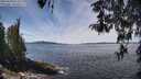 ./images/koeye/fitz-hugh/20260420/fitz-hugh20260420_123501M.jpg