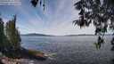 ./images/koeye/fitz-hugh/20260420/fitz-hugh20260420_124001M.jpg