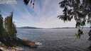 ./images/koeye/fitz-hugh/20260420/fitz-hugh20260420_124501M.jpg
