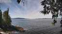./images/koeye/fitz-hugh/20260420/fitz-hugh20260420_125002M.jpg