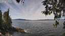 ./images/koeye/fitz-hugh/20260420/fitz-hugh20260420_131501M.jpg