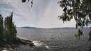 ./images/koeye/fitz-hugh/20260420/fitz-hugh20260420_134501M.jpg