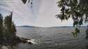 ./images/koeye/fitz-hugh/20260420/fitz-hugh20260420_135501M.jpg