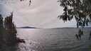 ./images/koeye/fitz-hugh/20260420/fitz-hugh20260420_154002M.jpg