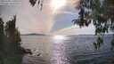 ./images/koeye/fitz-hugh/20260420/fitz-hugh20260420_171001M.jpg