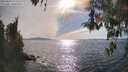 ./images/koeye/fitz-hugh/20260420/fitz-hugh20260420_171501M.jpg