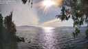 ./images/koeye/fitz-hugh/20260420/fitz-hugh20260420_172501M.jpg